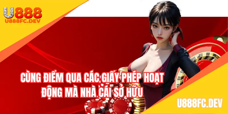 Cùng điểm qua các giấy phép hoạt động mà nền tảng sở hữu