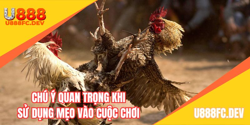 Lưu ý quan trọng cần để tâm khi áp dụng kinh nghiệm của người khác