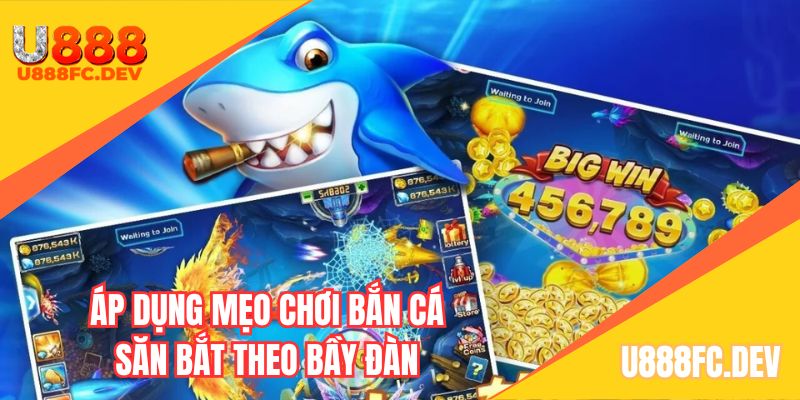 Chiến thuật săn theo bầy đàn cho người mới
