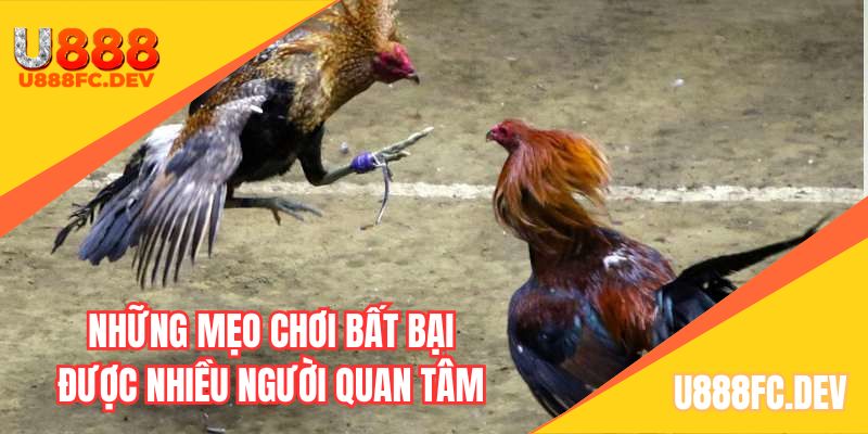 Tìm hiểu kiến thức về bộ môn là chìa khóa dẫn đến thành công